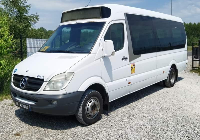 Bus interurbain Mercedes-Benz Sprinter *klima*webasto*: photos 10