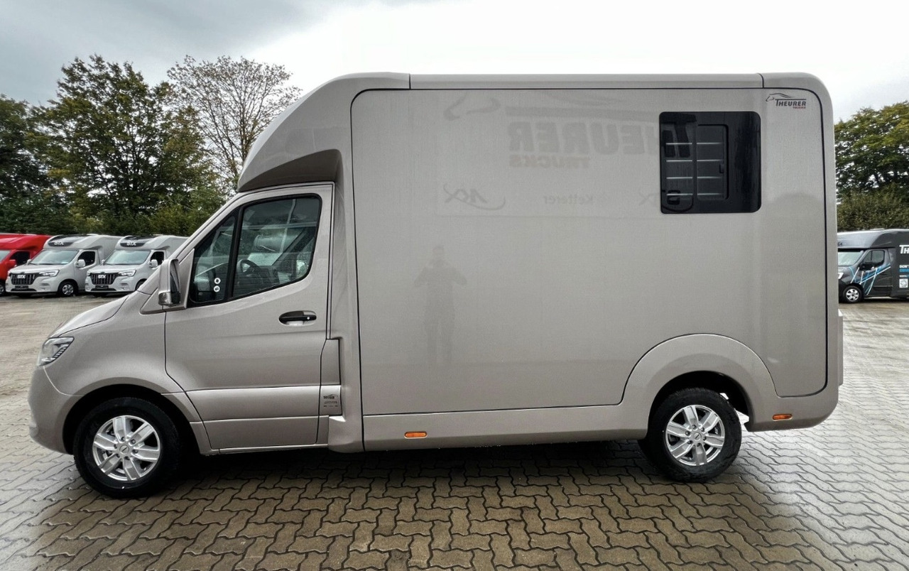 MERCEDES-BENZ Sprinter - Camion chevaux: photos 2 MERCEDES-BENZ Sprinter - Camion chevaux: photos 2