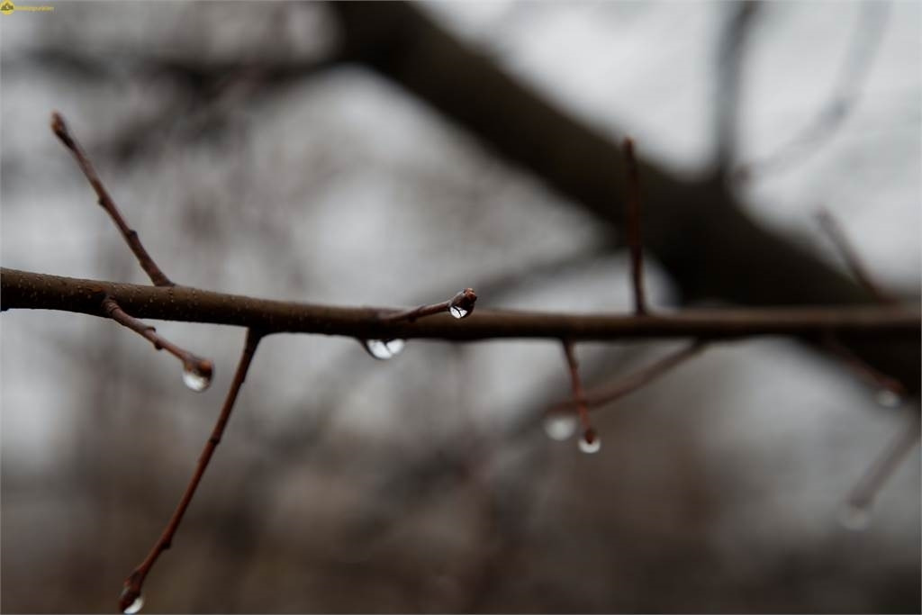 Tractopelle BMW 123: photos 1