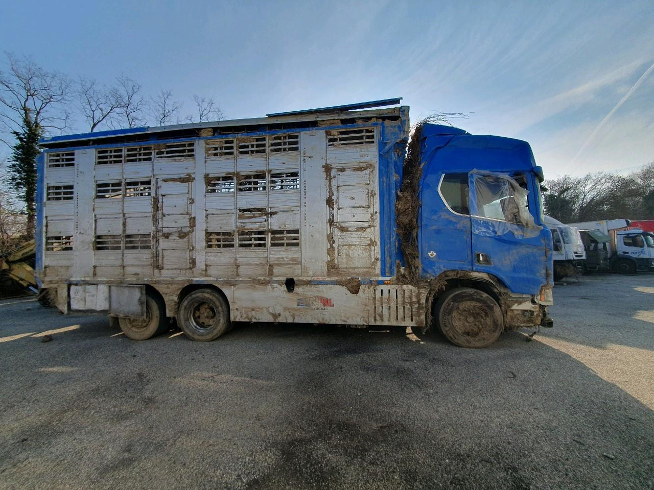 SCANIA R580 - Camion bétaillère: photos 3 SCANIA R580 - Camion bétaillère: photos 3