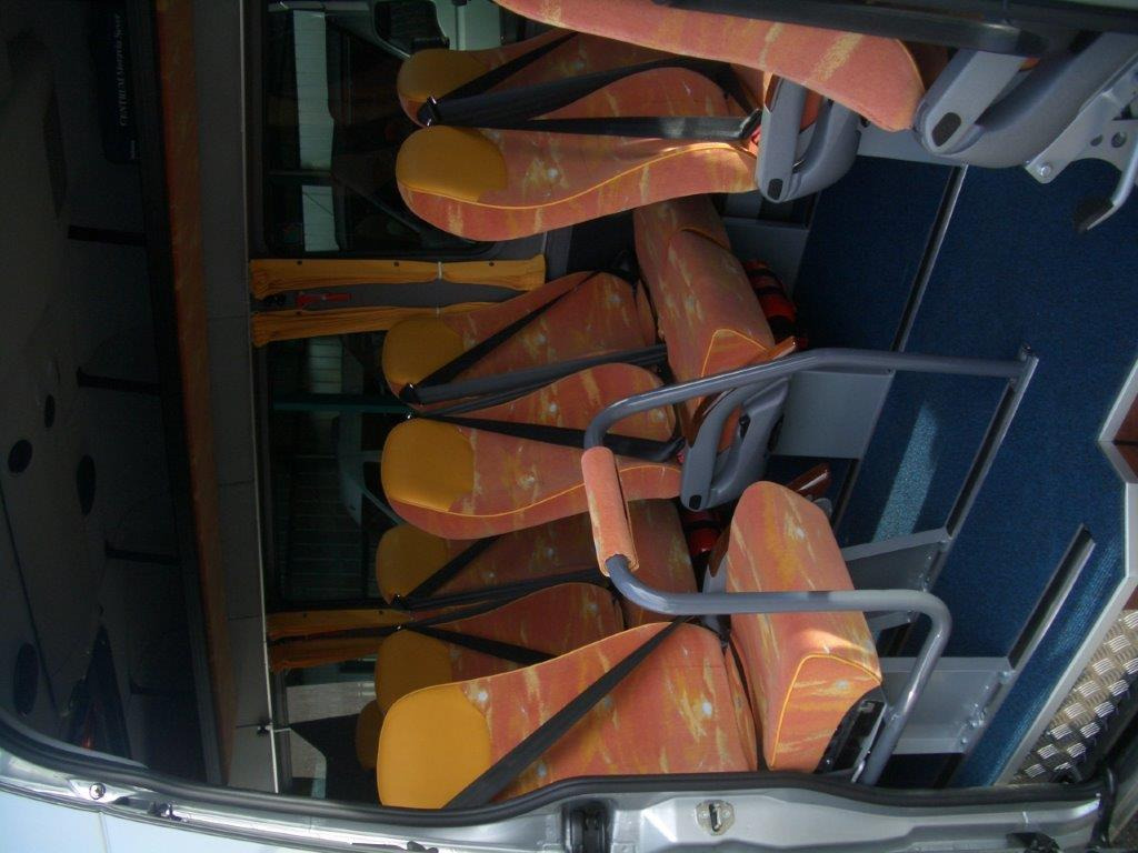 Minibus, Transport de personnes Mercedes Benz MB 319 CDI Travel: photos 11