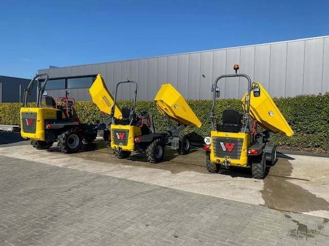 Mini tombereau Wacker Neuson DW 60: photos 20