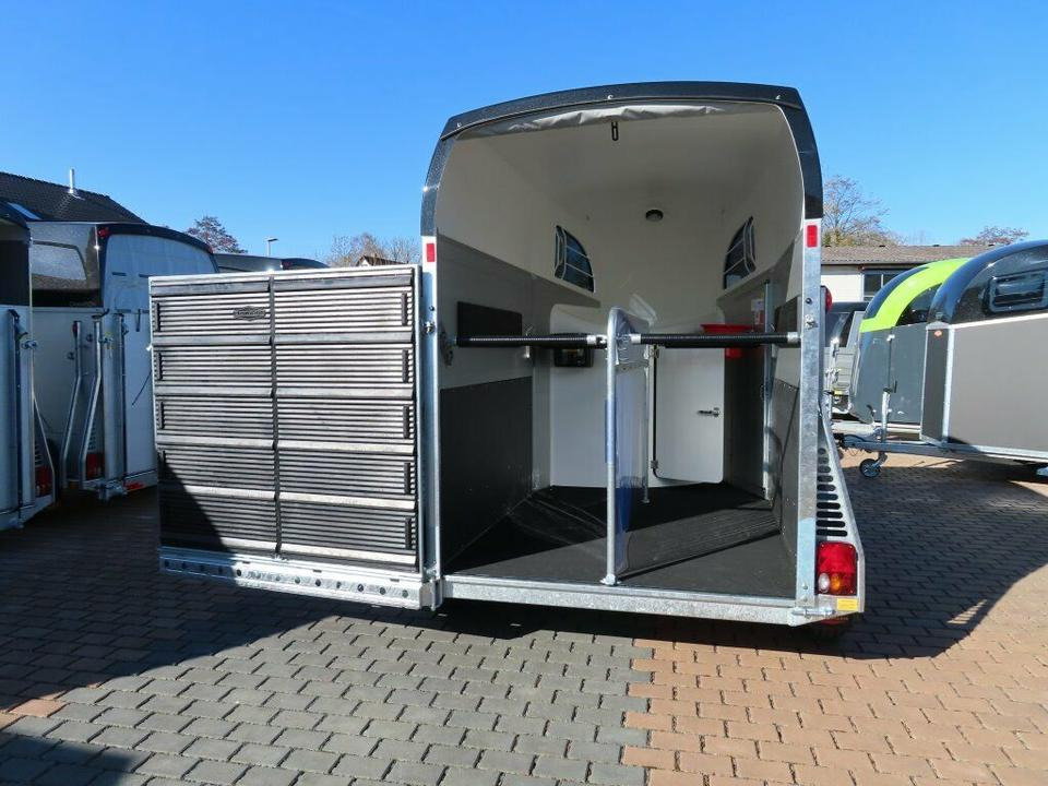 Böckmann, Pferdeanhänger, der neue Big Champion WCF 2025 - Van chevaux: photos 4 Böckmann, Pferdeanhänger, der neue Big Champion WCF 2025 - Van chevaux: photos 4
