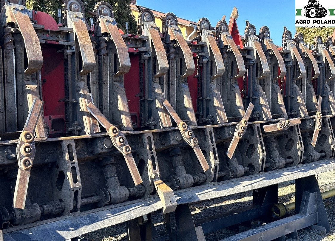 OLIMAC DRAGO 2 - S 8 TR - 8X70 - 2017 ROK - Cueilleur de maïs: photos 4 OLIMAC DRAGO 2 - S 8 TR - 8X70 - 2017 ROK - Cueilleur de maïs: photos 4