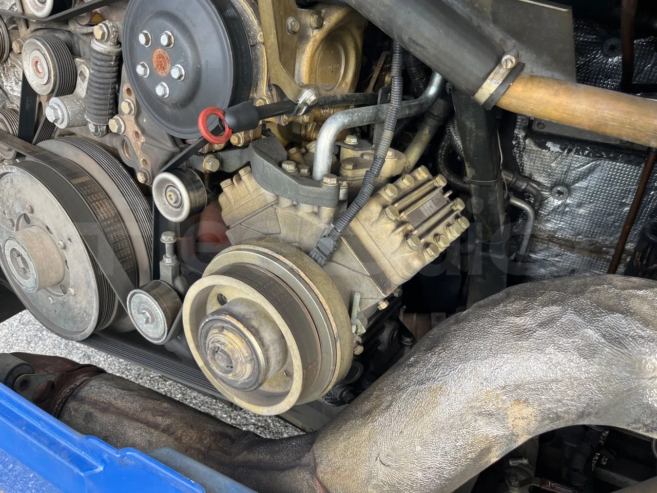 Bus articulé Mercedes-Benz Conecto: photos 20