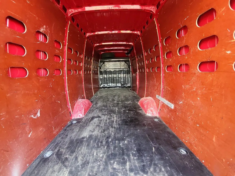 Iveco Daily 35S12 - Fourgon utilitaire, Utilitaire double cabine: photos 5 Iveco Daily 35S12 - Fourgon utilitaire, Utilitaire double cabine: photos 5