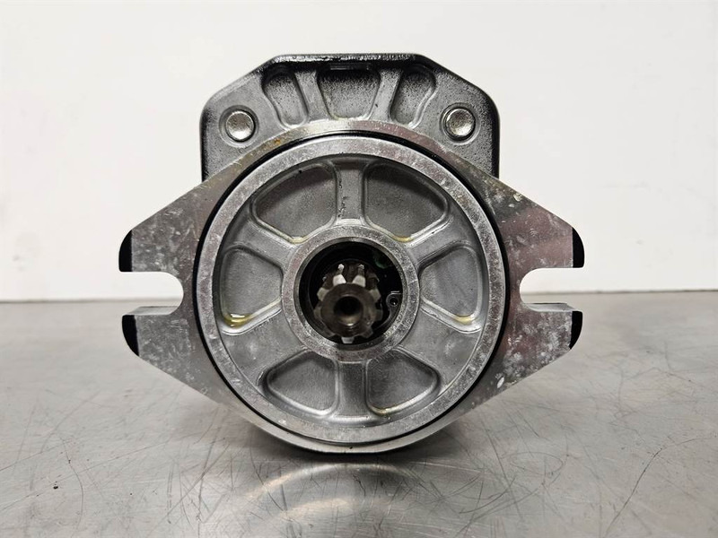 Kaweco KW25-Bondioli & Pavesi HPLPA217DSVG6G4B00-Gearpump - Hydraulique pour Engins de chantier: photos 4 Kaweco KW25-Bondioli & Pavesi HPLPA217DSVG6G4B00-Gearpump - Hydraulique pour Engins de chantier: photos 4