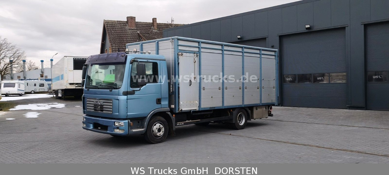 MAN TGL 10.210 1 Stock Viehtransporter - Camion chevaux: photos 2 MAN TGL 10.210 1 Stock Viehtransporter - Camion chevaux: photos 2