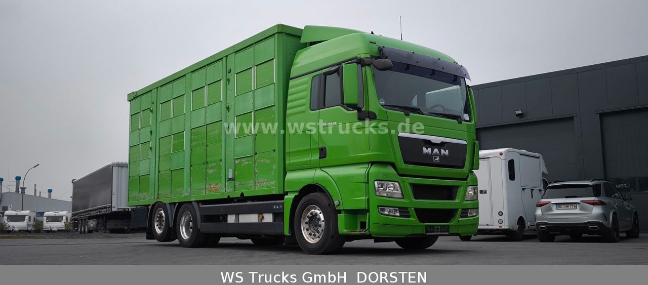 MAN TGX 26.480 XL KABA 3 Stock Vollalu - Camion bétaillère: photos 4 MAN TGX 26.480 XL KABA 3 Stock Vollalu - Camion bétaillère: photos 4
