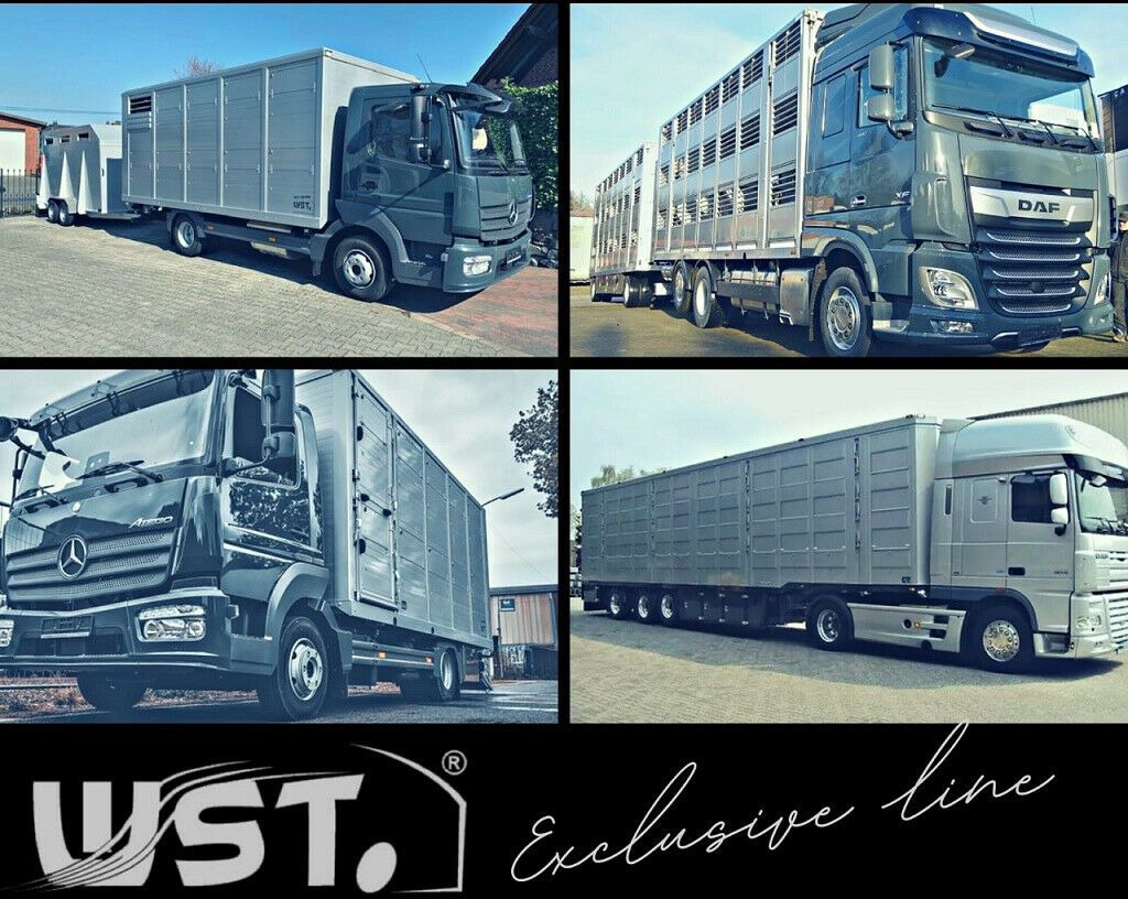 Utilitaire benne, Utilitaire double cabine Mitsubishi Canter-DREISEITENKIPPER-DoKa-7.SITZER-EURO6: photos 25