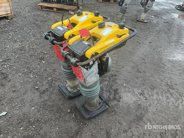 2020 Wacker Neuson BS50-2plus Jumping Jack Tamper Jumping Jack Tamper - Pilonneuse: photos 1 2020 Wacker Neuson BS50-2plus Jumping Jack Tamper Jumping Jack Tamper - Pilonneuse: photos 1