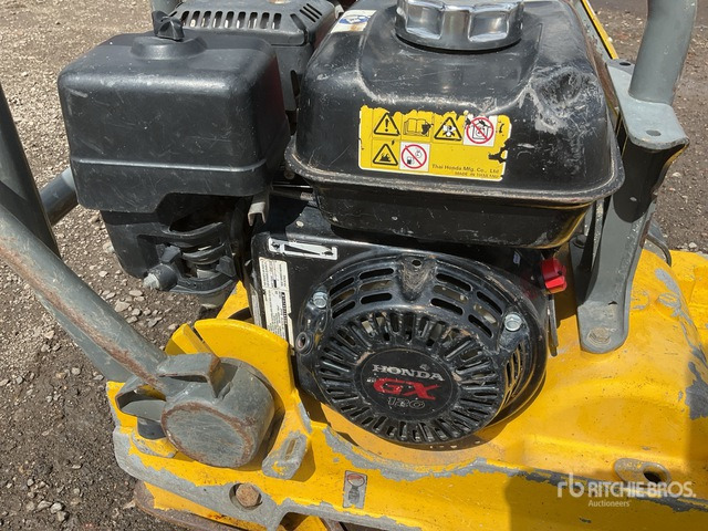 Wacker Neuson WP1540 Vibratory Plate Compactor - Plaque vibrante: photos 5 Wacker Neuson WP1540 Vibratory Plate Compactor - Plaque vibrante: photos 5