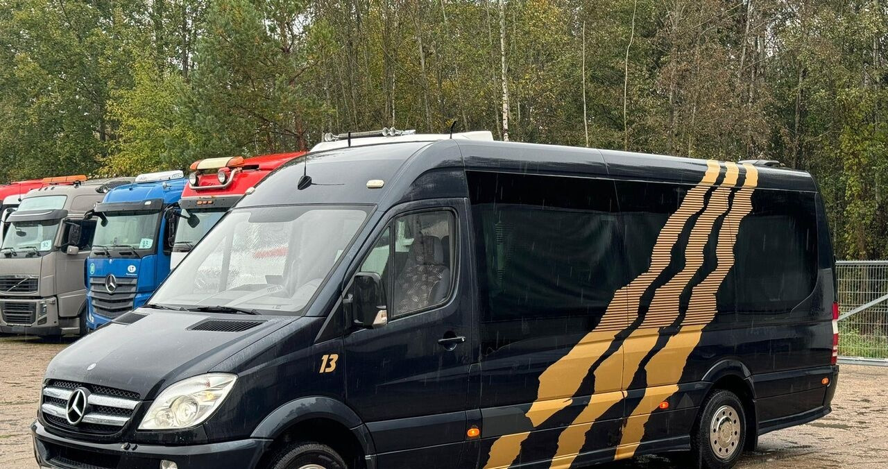 Minibus, Transport de personnes Mercedes-Benz Sprinter 519 VIP - 17 Seater: photos 1