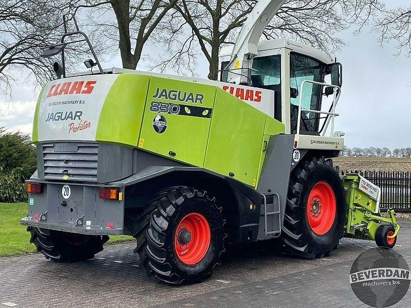 Claas Jaguar 830 492 - Ensileuse: photos 4 Claas Jaguar 830 492 - Ensileuse: photos 4