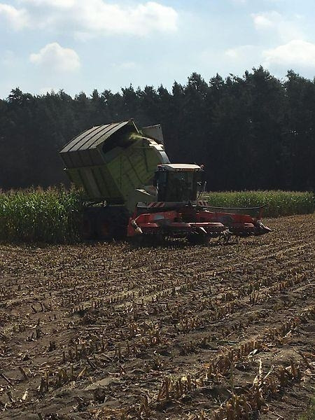 Claas Jaguar 900 Field Shuttle C 35 - Machine agricole: photos 5 Claas Jaguar 900 Field Shuttle C 35 - Machine agricole: photos 5