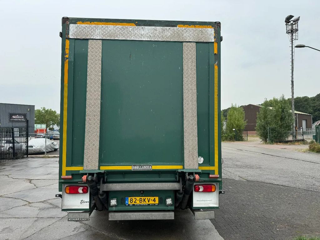 Camion à rideaux coulissants DAF LF 260 4X2 16T DHOLLANDIA LOAD LIFT + TÜV TILL 0: photos 6
