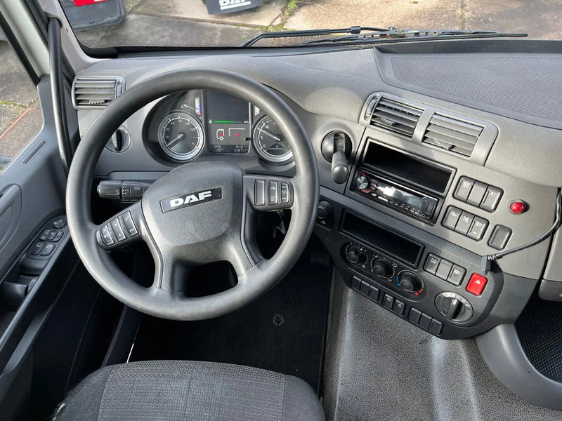 Châssis cabine DAF CF 260 CF 260 FA CHASSIS CABINE EURO 6: photos 15