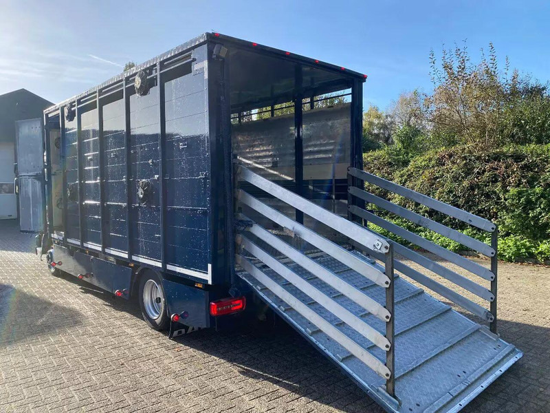 DAF LF 280 - Camion bétaillère: photos 5 DAF LF 280 - Camion bétaillère: photos 5