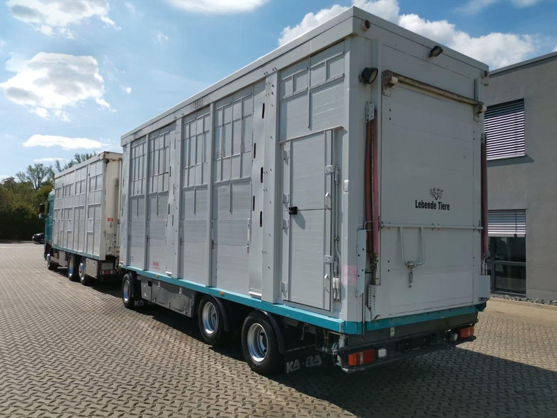 DAF XF 105.460 - Animal transporter + trailer - Camion bétaillère: photos 4 DAF XF 105.460 - Animal transporter + trailer - Camion bétaillère: photos 4