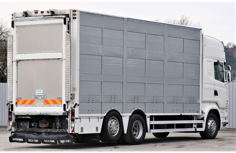 Scania R 500 - Camion bétaillère: photos 5 Scania R 500 - Camion bétaillère: photos 5