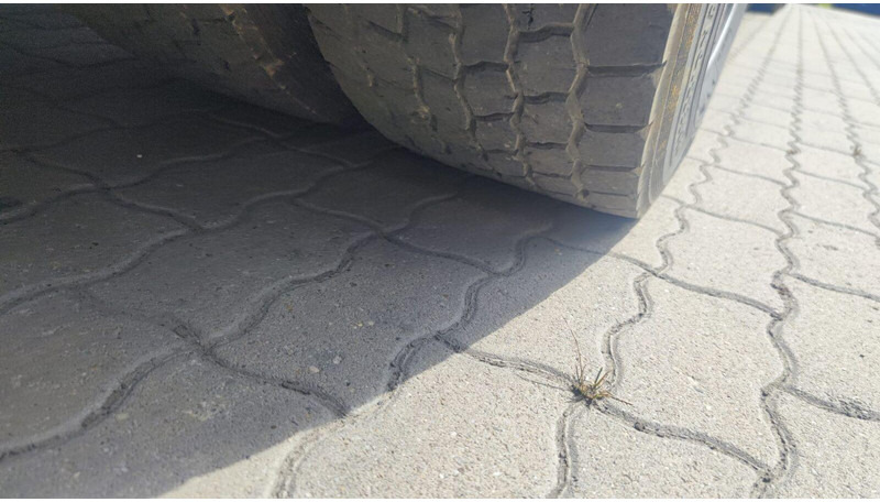 Tracteur routier DAF XF 105.460 Lowdeck - MEGA: photos 10