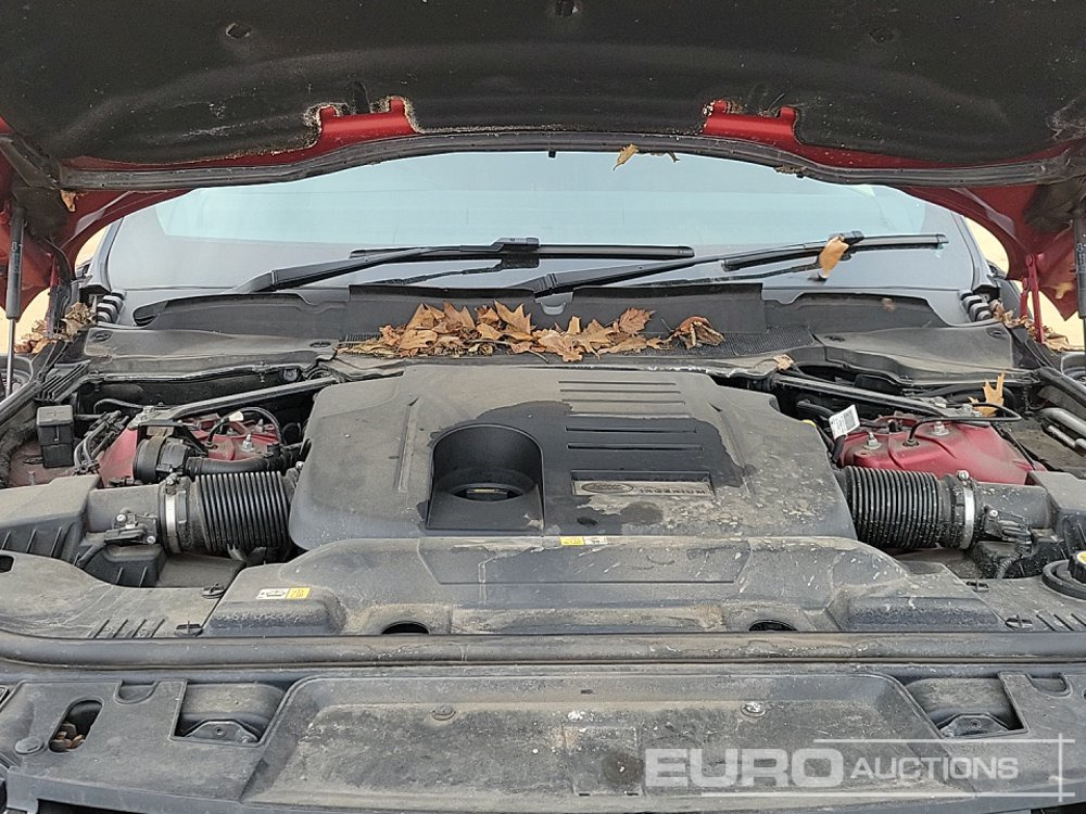 SUV 2020 Range Rover Sport: photos 16