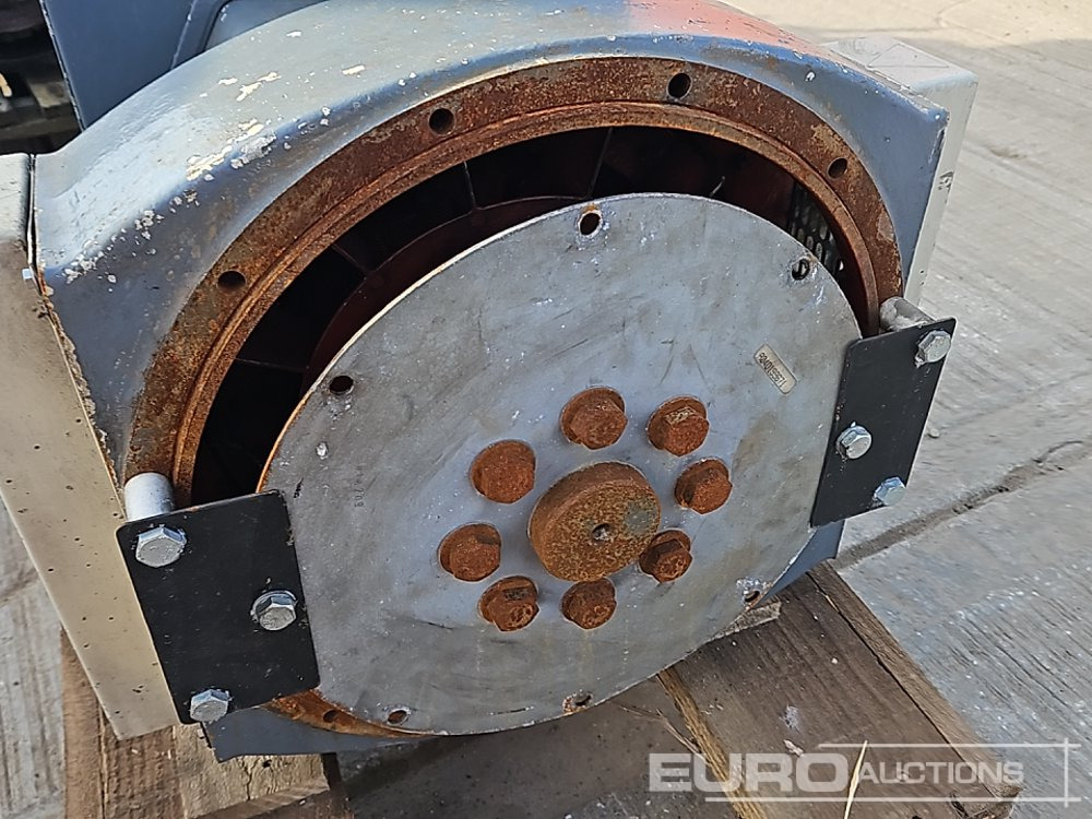 Groupe électrogène Alternator: photos 9 Groupe électrogène Alternator: photos 9