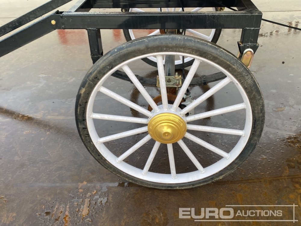 Voiturette de golf Unused 2025 Electric Carriage: photos 9 Voiturette de golf Unused 2025 Electric Carriage: photos 9