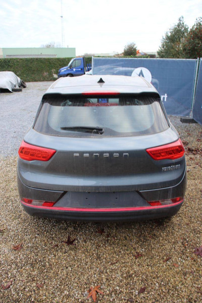 DFSK Fengon 500 - SUV: photos 4 DFSK Fengon 500 - SUV: photos 4