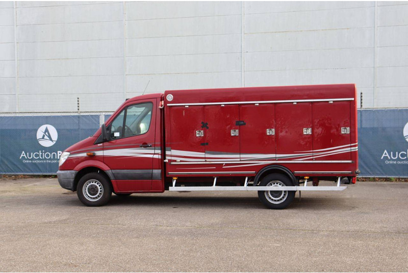 Mercedes-Benz 313CDI - Fourgon grand volume: photos 3 Mercedes-Benz 313CDI - Fourgon grand volume: photos 3