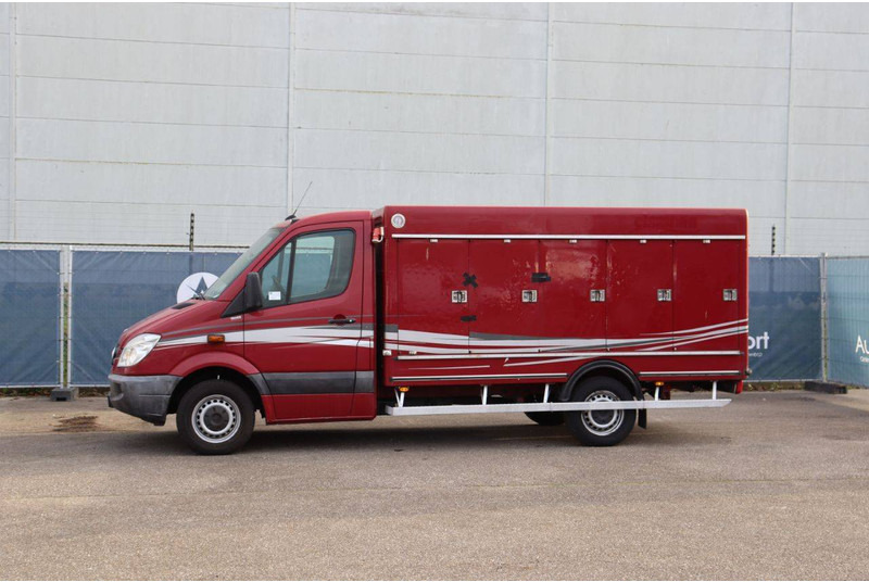 Mercedes-Benz 313CDI - Fourgon grand volume: photos 1 Mercedes-Benz 313CDI - Fourgon grand volume: photos 1