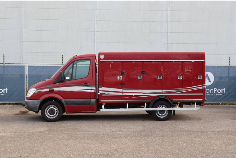 Mercedes-Benz 313CDI - Fourgon grand volume: photos 2 Mercedes-Benz 313CDI - Fourgon grand volume: photos 2