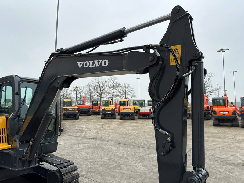 Pelle sur chenille Volvo EC55D: photos 12